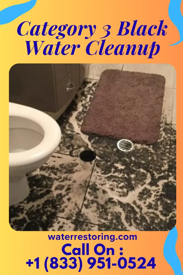 Category 3 Black Water Cleanup in Fearrington Village, NC