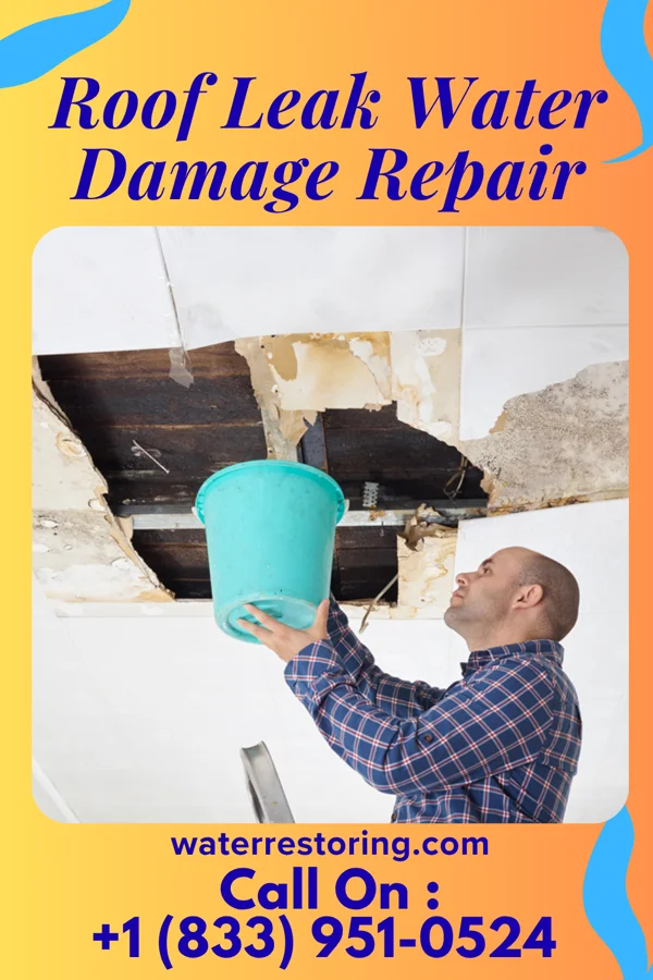 Roof Leak Water Damage Repair in Fearrington Village, NC