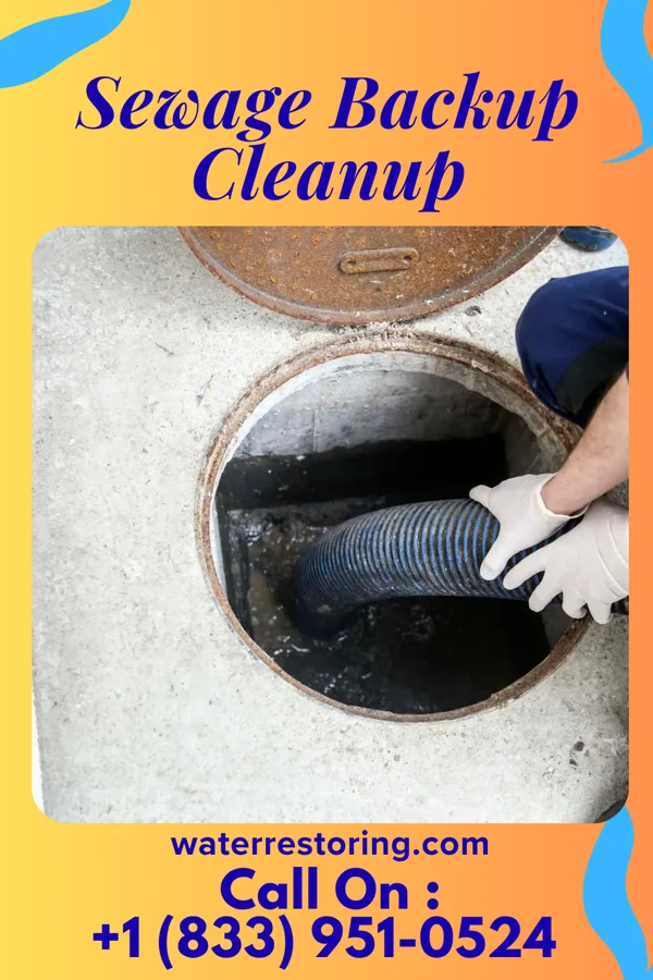 Sewage Backup Cleanup in Fearrington Village, NC